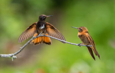 ABRA MÁLAGA PASS TO MACHUPICCHU  5 Days/4 Nights